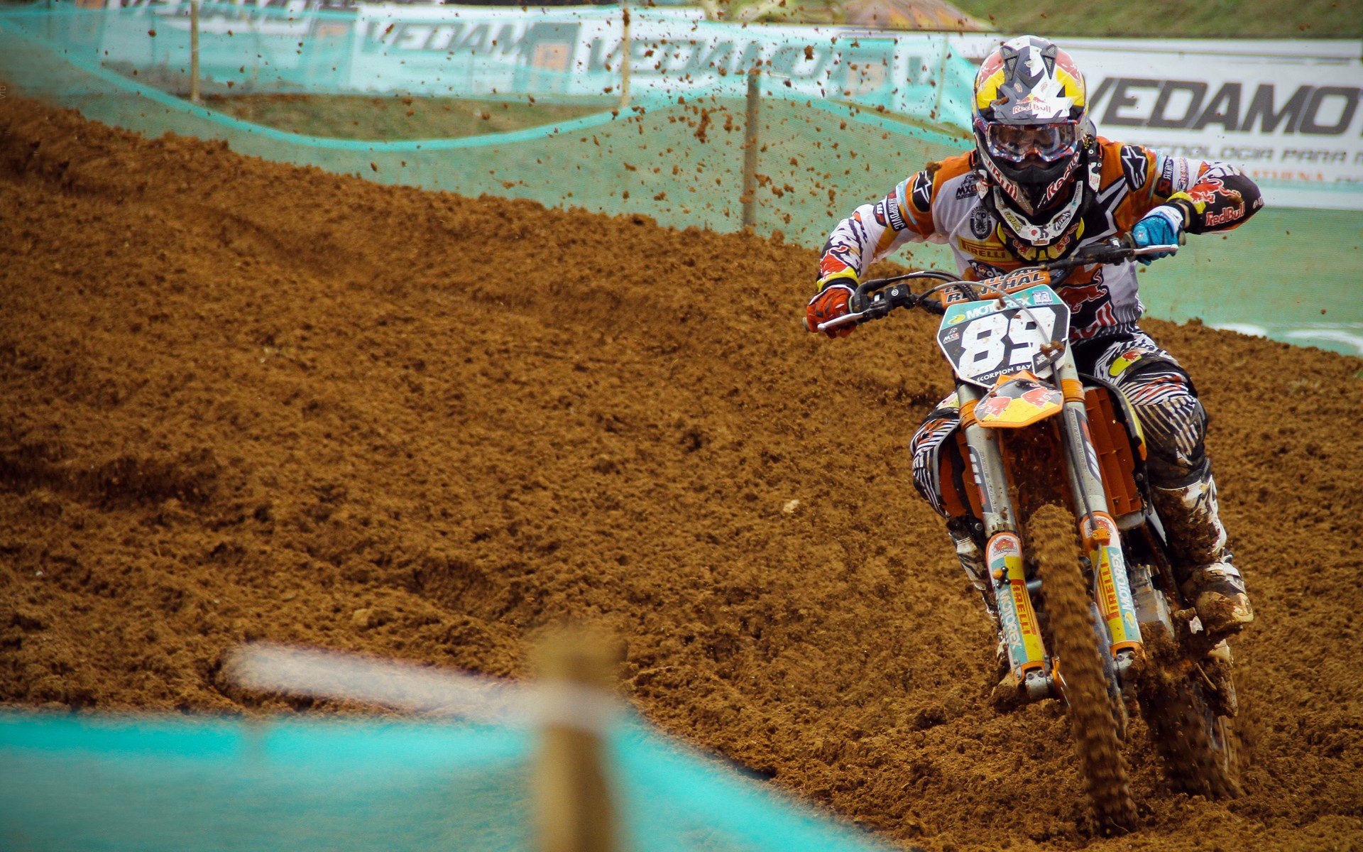 球迷热议年度最佳球员